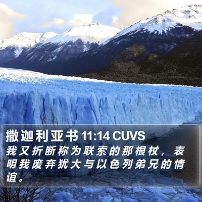 撒 迦 利 亚 书 11:14 CUVS Bible Verse Image