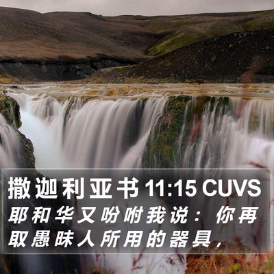 撒 迦 利 亚 书 11:15 CUVS Bible Verse Image