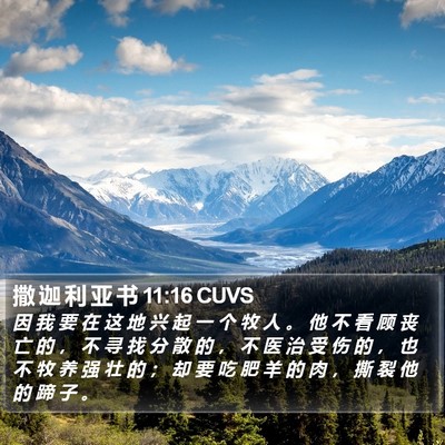 撒 迦 利 亚 书 11:16 CUVS Bible Verse Image
