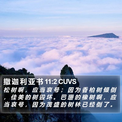 撒 迦 利 亚 书 11:2 CUVS Bible Verse Image