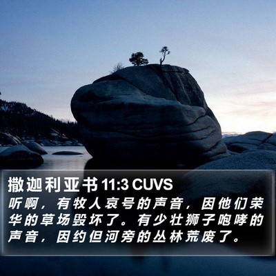 撒 迦 利 亚 书 11:3 CUVS Bible Verse Image