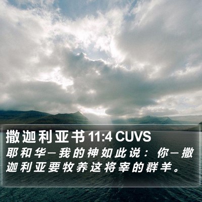 撒 迦 利 亚 书 11:4 CUVS Bible Verse Image