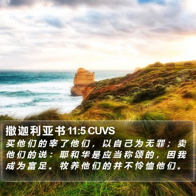 撒 迦 利 亚 书 11:5 CUVS Bible Verse Image