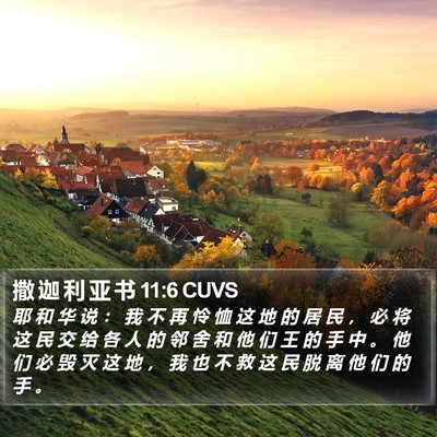 撒 迦 利 亚 书 11:6 CUVS Bible Verse Image