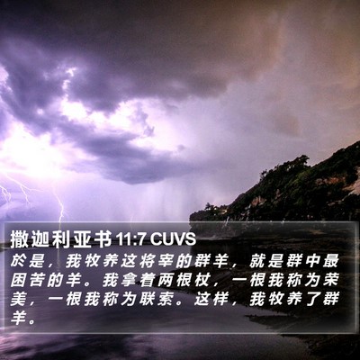 撒 迦 利 亚 书 11:7 CUVS Bible Verse Image