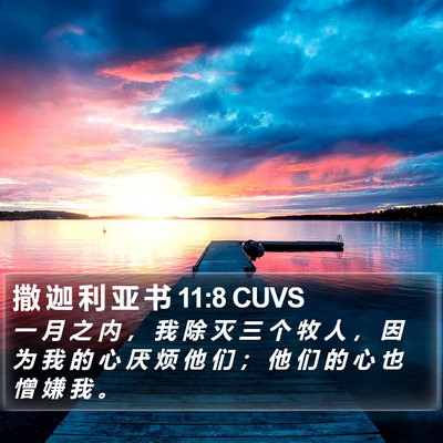 撒 迦 利 亚 书 11:8 CUVS Bible Verse Image