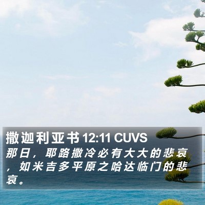 撒 迦 利 亚 书 12:11 CUVS Bible Verse Image