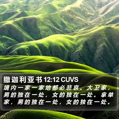 撒 迦 利 亚 书 12:12 CUVS Bible Verse Image