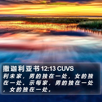 撒 迦 利 亚 书 12:13 CUVS Bible Verse Image