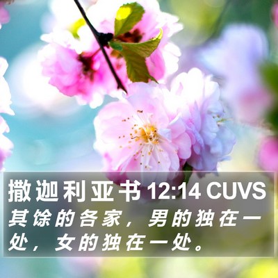 撒 迦 利 亚 书 12:14 CUVS Bible Verse Image
