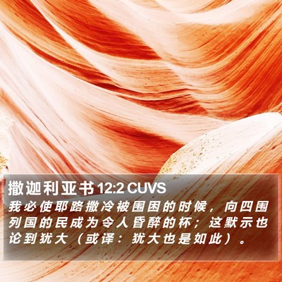 撒 迦 利 亚 书 12:2 CUVS Bible Verse Image