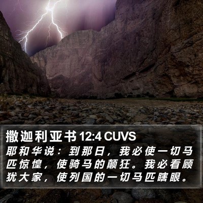 撒 迦 利 亚 书 12:4 CUVS Bible Verse Image