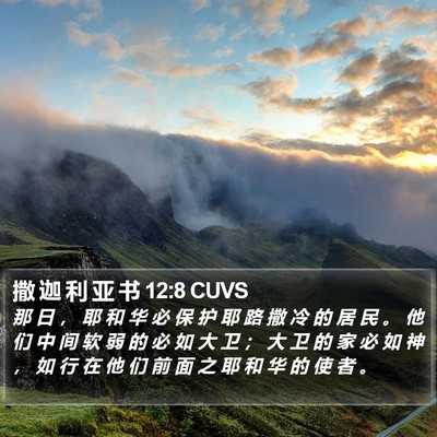 撒 迦 利 亚 书 12:8 CUVS Bible Verse Image
