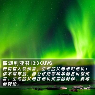 撒 迦 利 亚 书 13:3 CUVS Bible Verse Image