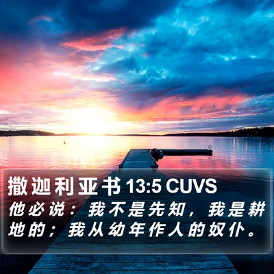 撒 迦 利 亚 书 13:5 CUVS Bible Verse Image