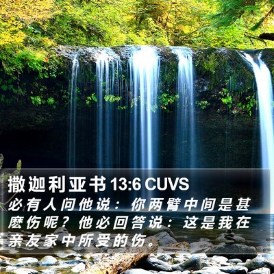 撒 迦 利 亚 书 13:6 CUVS Bible Verse Image