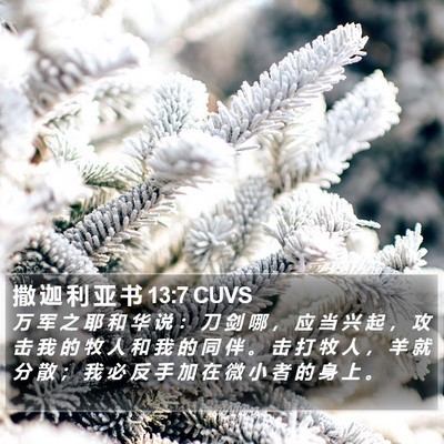撒 迦 利 亚 书 13:7 CUVS Bible Verse Image