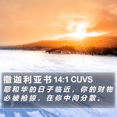 撒 迦 利 亚 书 14:1 CUVS Bible Verse Image