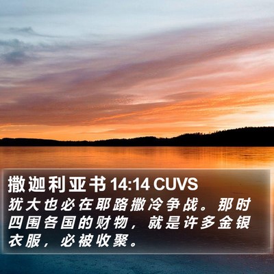 撒 迦 利 亚 书 14:14 CUVS Bible Verse Image