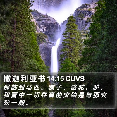 撒 迦 利 亚 书 14:15 CUVS Bible Verse Image
