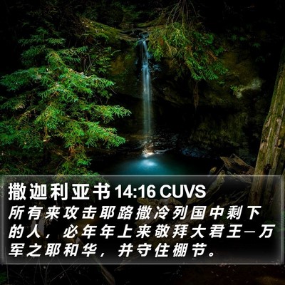 撒 迦 利 亚 书 14:16 CUVS Bible Verse Image