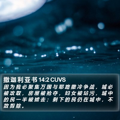 撒 迦 利 亚 书 14:2 CUVS Bible Verse Image