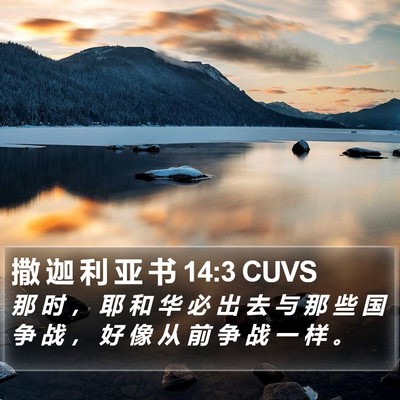 撒 迦 利 亚 书 14:3 CUVS Bible Verse Image