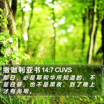撒 迦 利 亚 书 14:7 CUVS Bible Verse Image