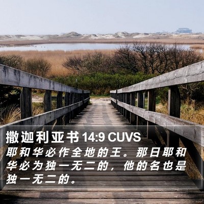 撒 迦 利 亚 书 14:9 CUVS Bible Verse Image