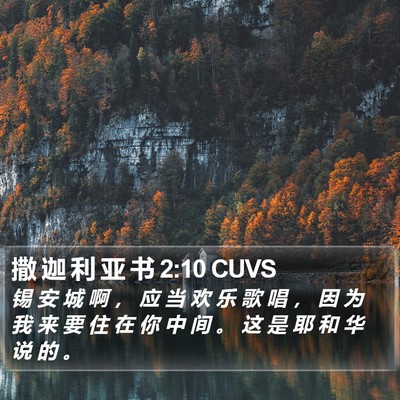 撒 迦 利 亚 书 2:10 CUVS Bible Verse Image