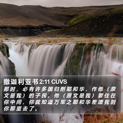 撒 迦 利 亚 书 2:11 CUVS Bible Verse Image