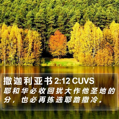 撒 迦 利 亚 书 2:12 CUVS Bible Verse Image