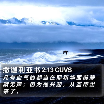 撒 迦 利 亚 书 2:13 CUVS Bible Verse Image