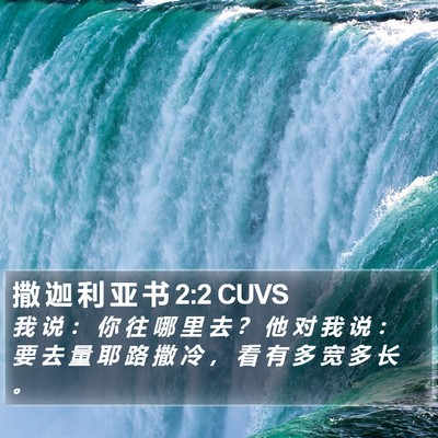 撒 迦 利 亚 书 2:2 CUVS Bible Verse Image