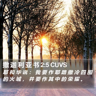 撒 迦 利 亚 书 2:5 CUVS Bible Verse Image