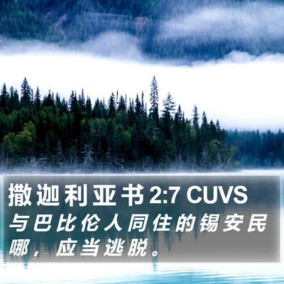 撒 迦 利 亚 书 2:7 CUVS Bible Verse Image