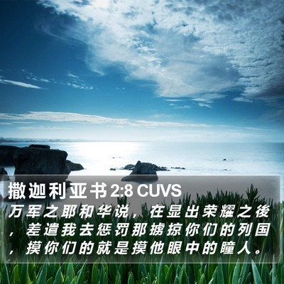 撒 迦 利 亚 书 2:8 CUVS Bible Verse Image