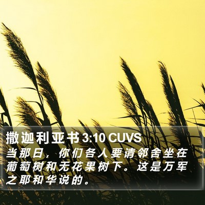 撒 迦 利 亚 书 3:10 CUVS Bible Verse Image