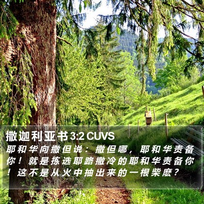 撒 迦 利 亚 书 3:2 CUVS Bible Verse Image