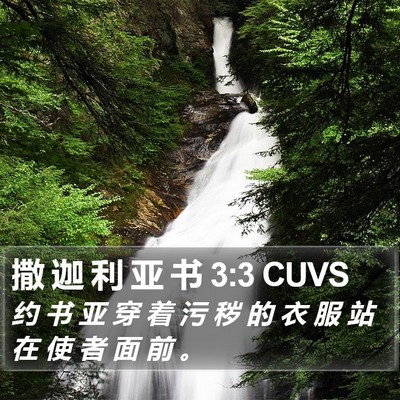 撒 迦 利 亚 书 3:3 CUVS Bible Verse Image