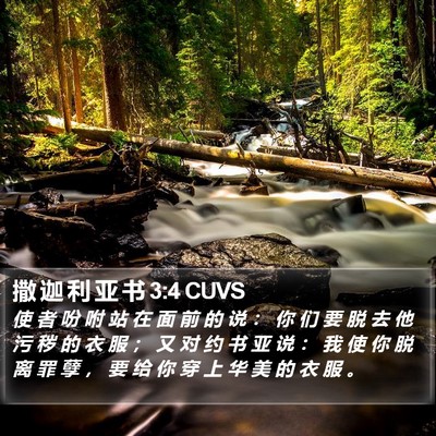 撒 迦 利 亚 书 3:4 CUVS Bible Verse Image