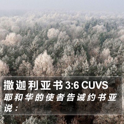撒 迦 利 亚 书 3:6 CUVS Bible Verse Image