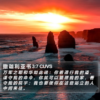 撒 迦 利 亚 书 3:7 CUVS Bible Verse Image