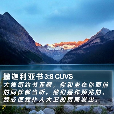 撒 迦 利 亚 书 3:8 CUVS Bible Verse Image