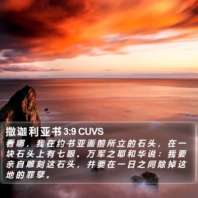 撒 迦 利 亚 书 3:9 CUVS Bible Verse Image