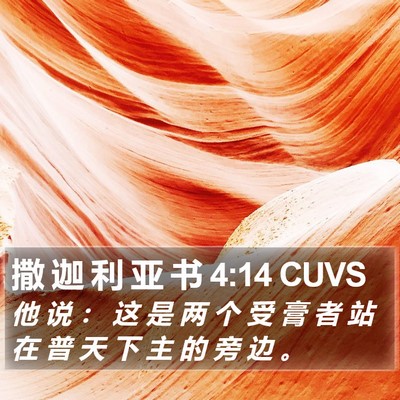 撒 迦 利 亚 书 4:14 CUVS Bible Verse Image