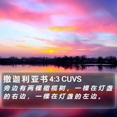 撒 迦 利 亚 书 4:3 CUVS Bible Verse Image