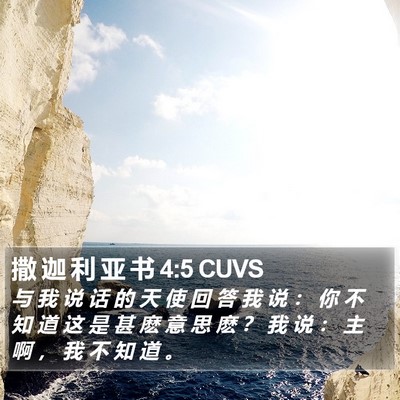 撒 迦 利 亚 书 4:5 CUVS Bible Verse Image