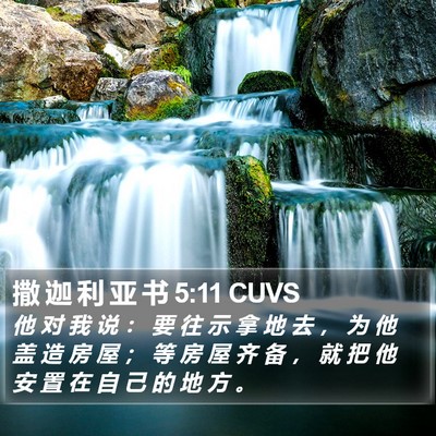 撒 迦 利 亚 书 5:11 CUVS Bible Verse Image