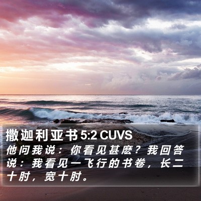 撒 迦 利 亚 书 5:2 CUVS Bible Verse Image
